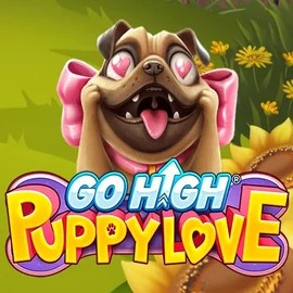 game logo by RubyPlay on casinok-hu.com